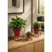 Supporto porta vaso in filo metallico - CUBE Supporto porta vaso in filo metallico - CUBE